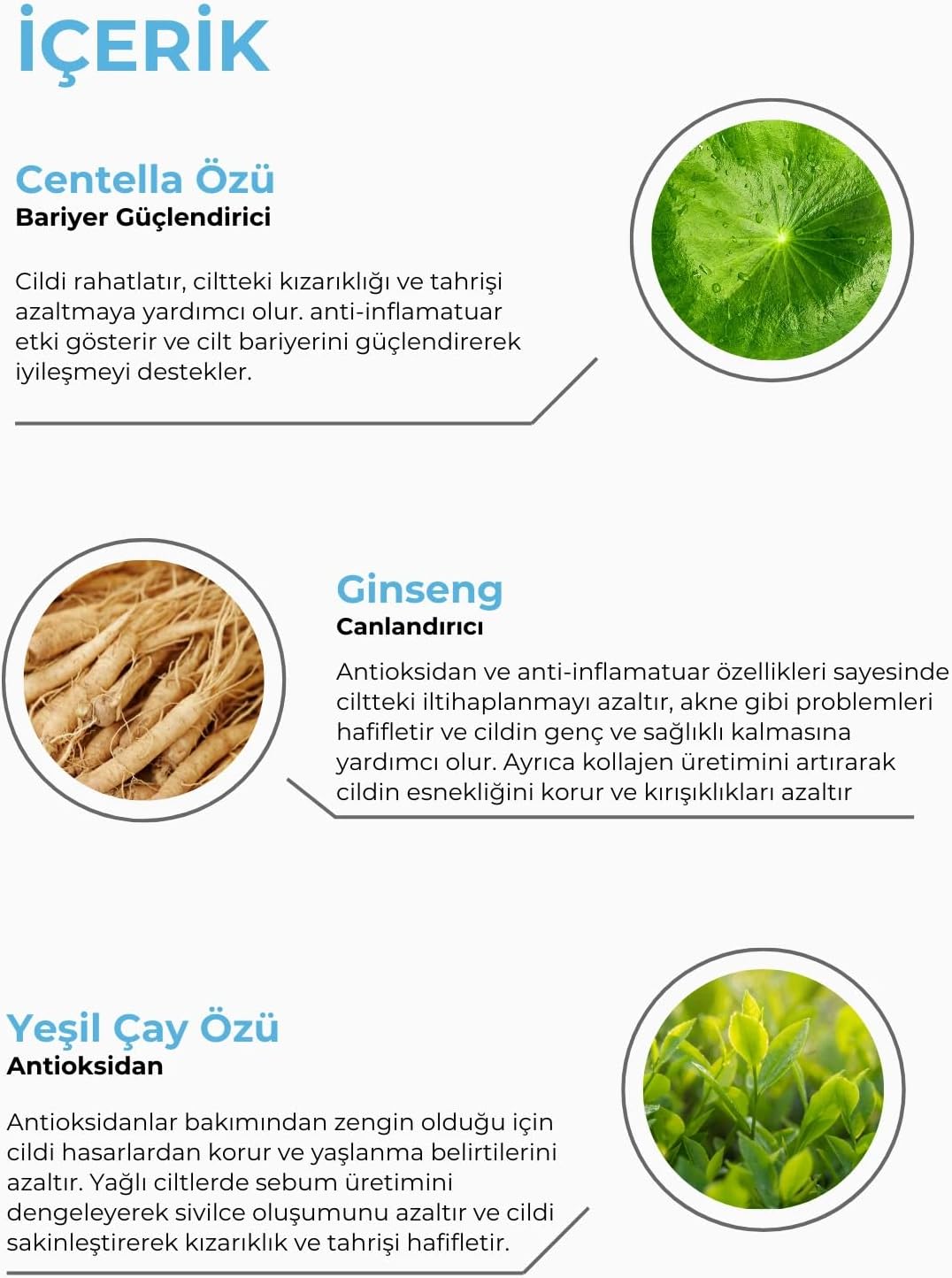 LUDITA Niacinamide Cleansing Gel, Low‑PH Gentle Face Cleanser, Sensitive Skin Face Wash, Botanical Gel Cleanser, Green Tea Face Wash, 200 ml