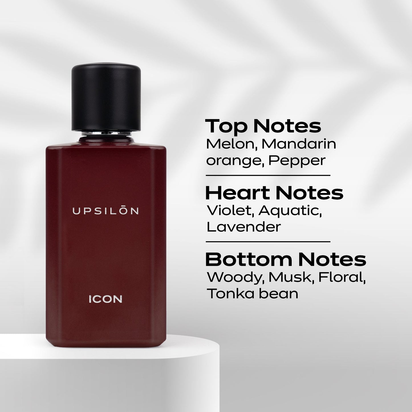 Upsilon Icon Eau De Parfum for Men (100ml)